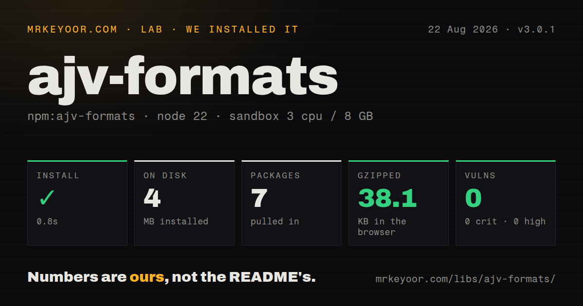 Lab card: what happened when we installed ajv-formats