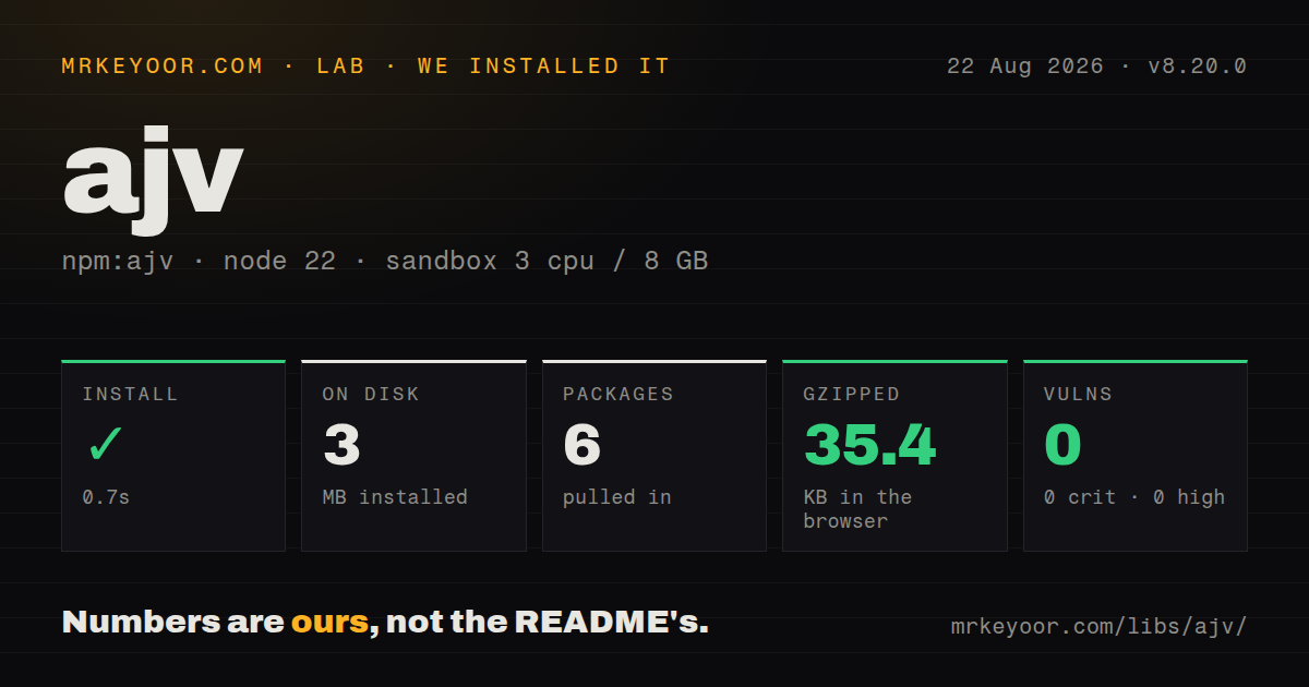 Lab card: what happened when we installed ajv