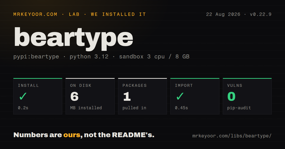 Lab card: what happened when we installed beartype
