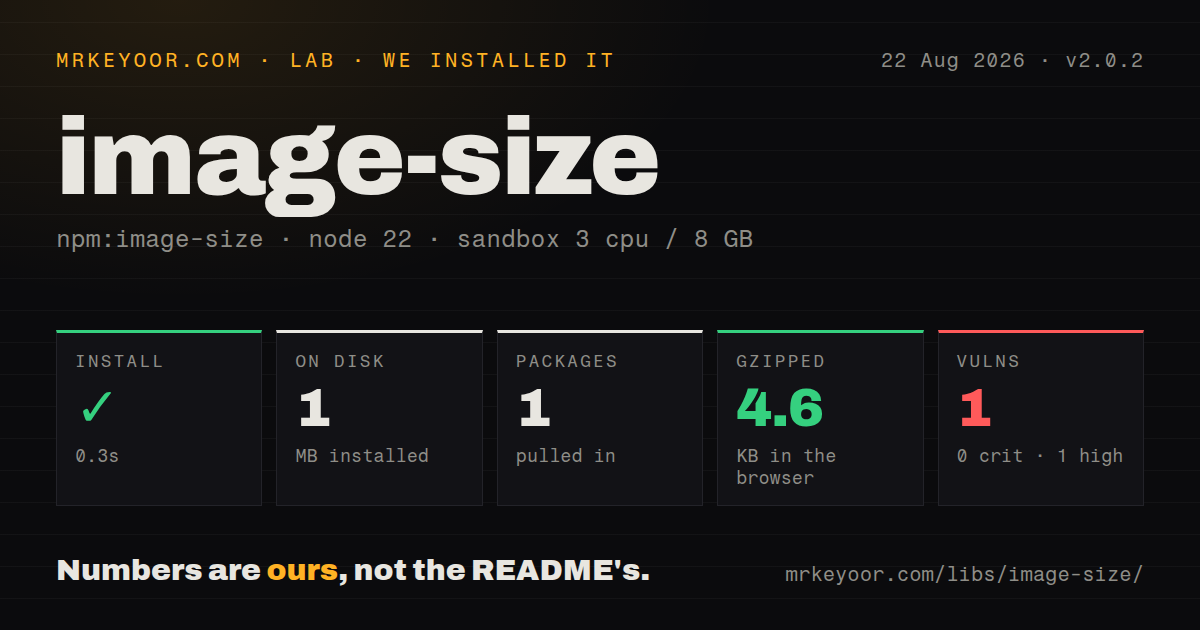 Lab card: what happened when we installed image-size