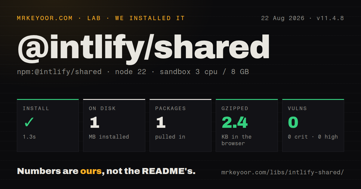 Lab card: what happened when we installed @intlify/shared