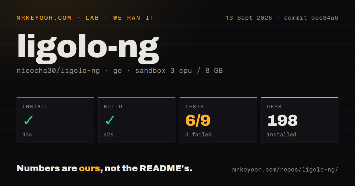 Lab card: what happened when we ran ligolo-ng