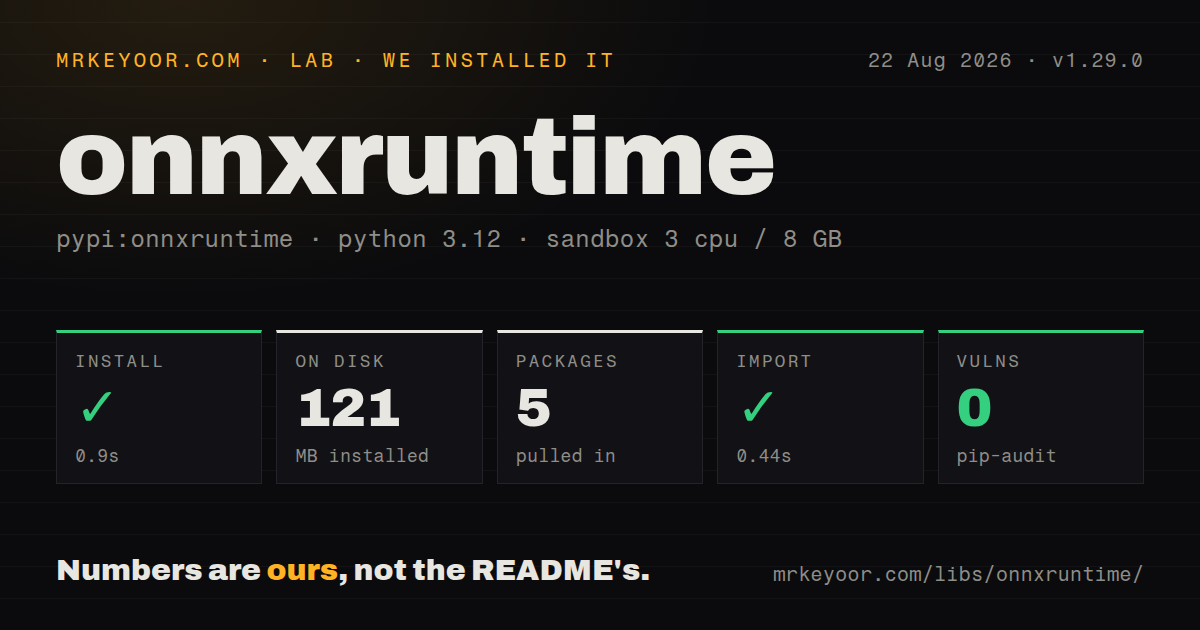 Lab card: what happened when we ran onnxruntime