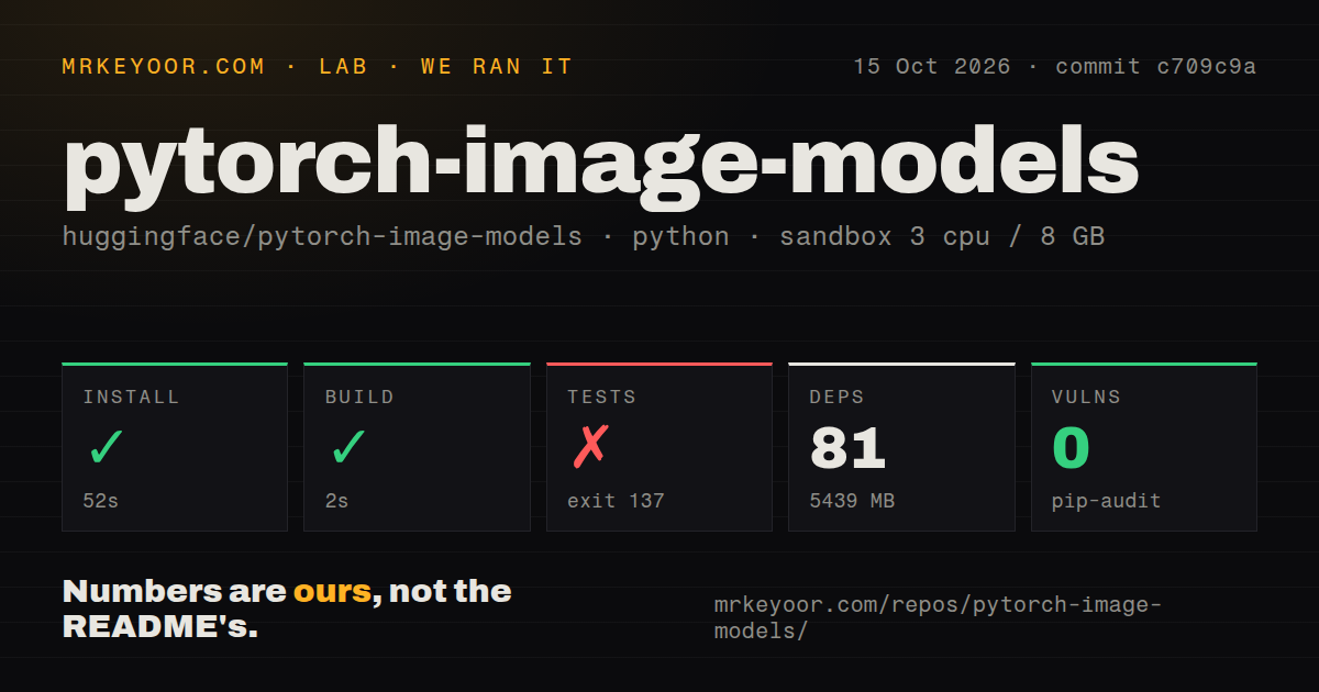 Lab card: what happened when we ran pytorch-image-models