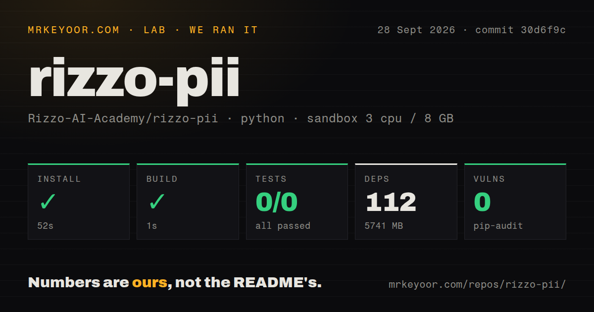 Lab card: what happened when we ran rizzo-pii