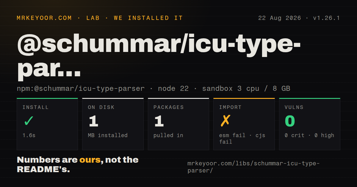 Lab card: what happened when we installed @schummar/icu-type-parser