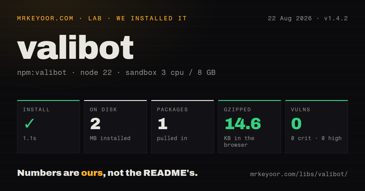 Lab card: what happened when we installed valibot