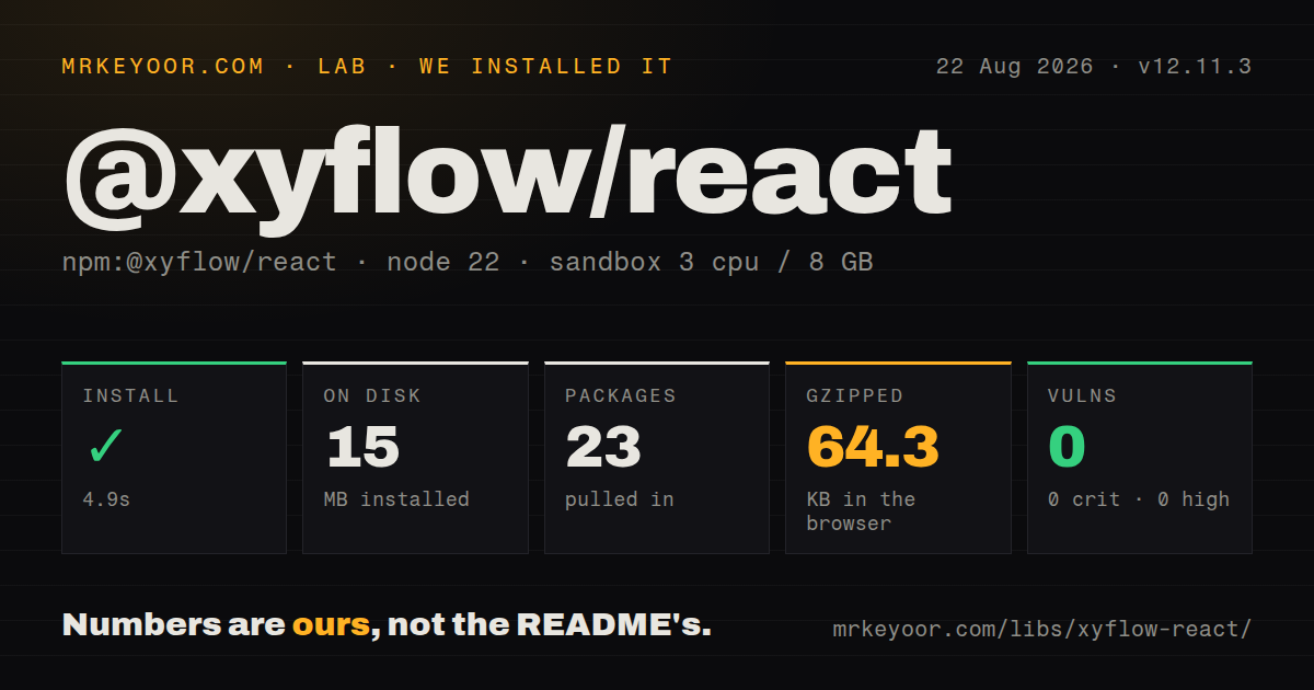 Lab card: what happened when we installed @xyflow/react