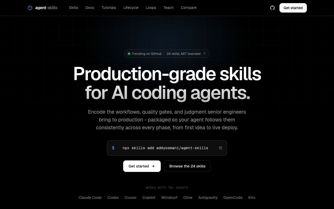 Screenshot of agent-skills (skills.addy.ie)