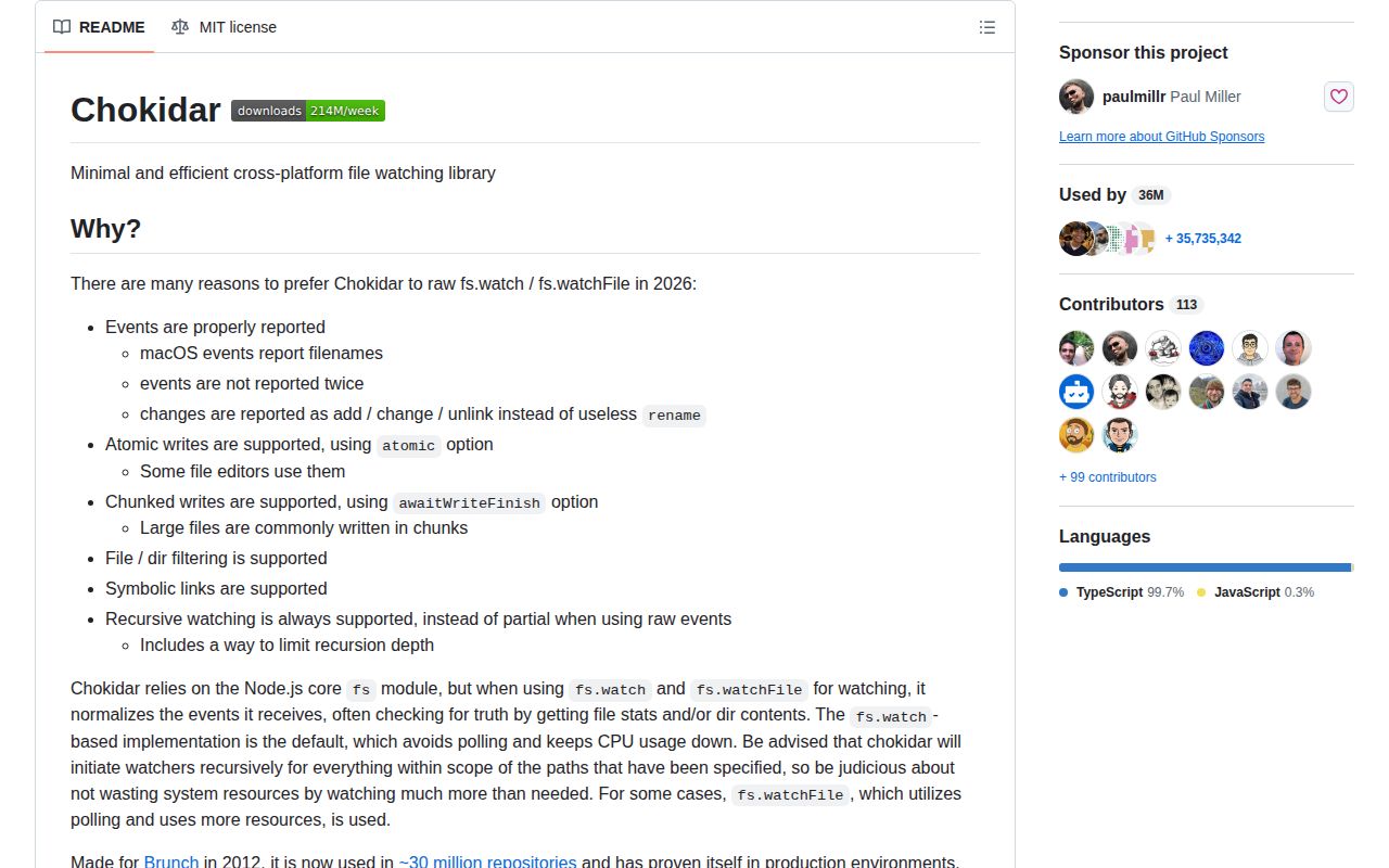 Screenshot of chokidar documentation