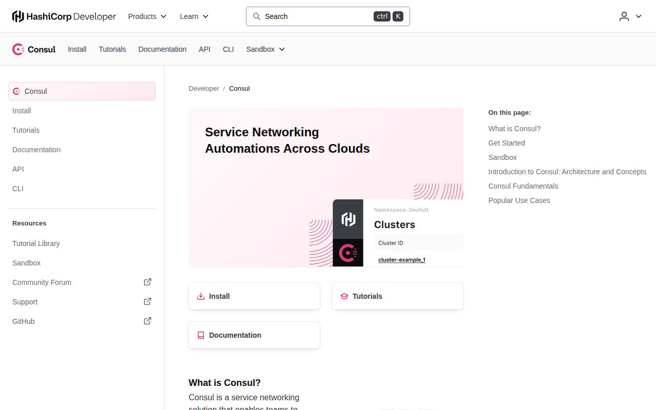 Screenshot of consul (www.consul.io)