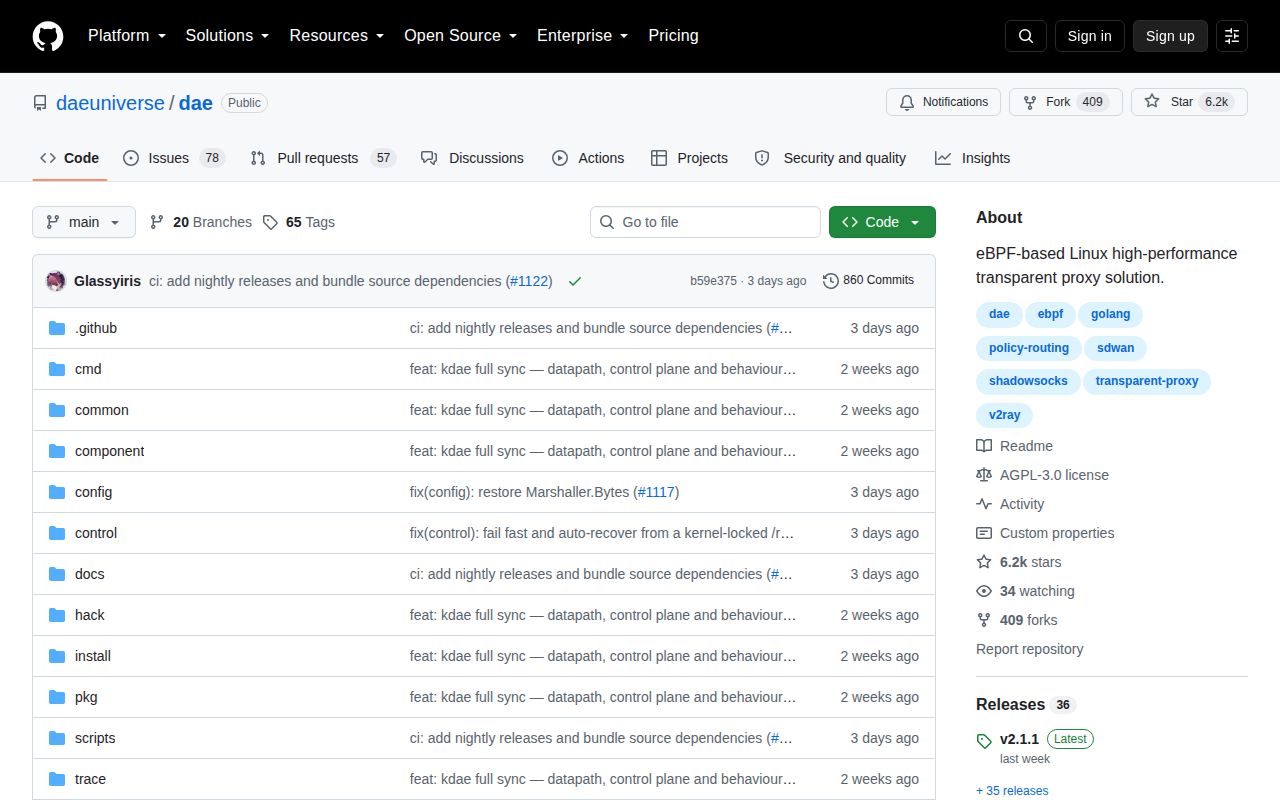 Screenshot of dae (github.com/daeuniverse/dae)