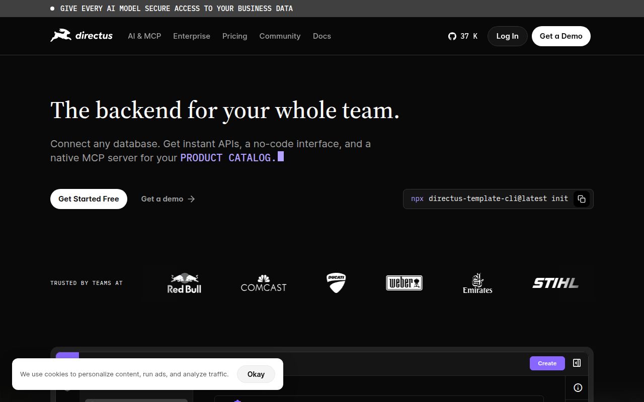 Screenshot of directus (directus.com)
