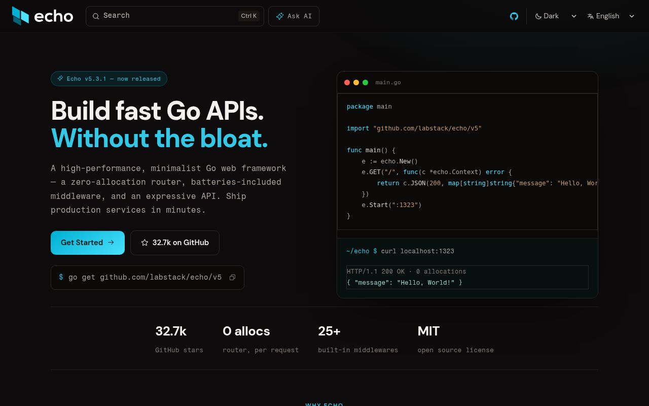 Screenshot of echo (echo.labstack.com)