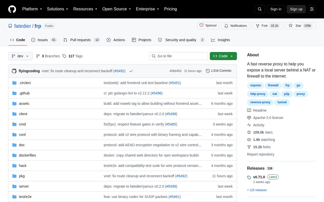 Screenshot of frp (github.com/fatedier/frp)