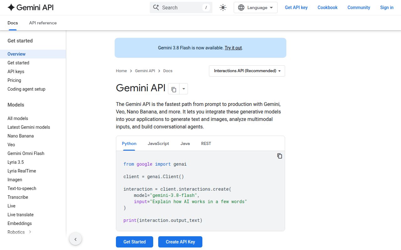 Screenshot of gemini-skills (ai.google.dev/gemini-api/docs)