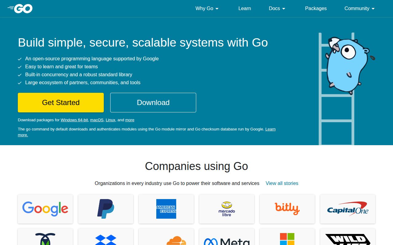 Screenshot of go (go.dev)