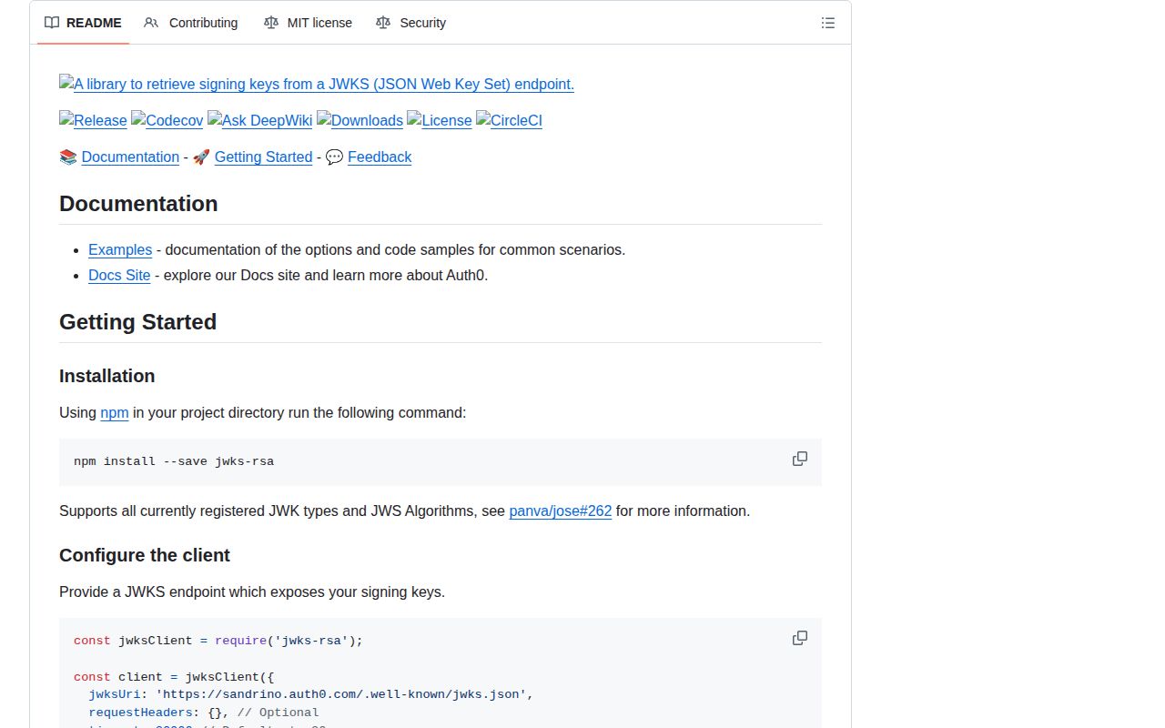 Screenshot of jwks-rsa documentation
