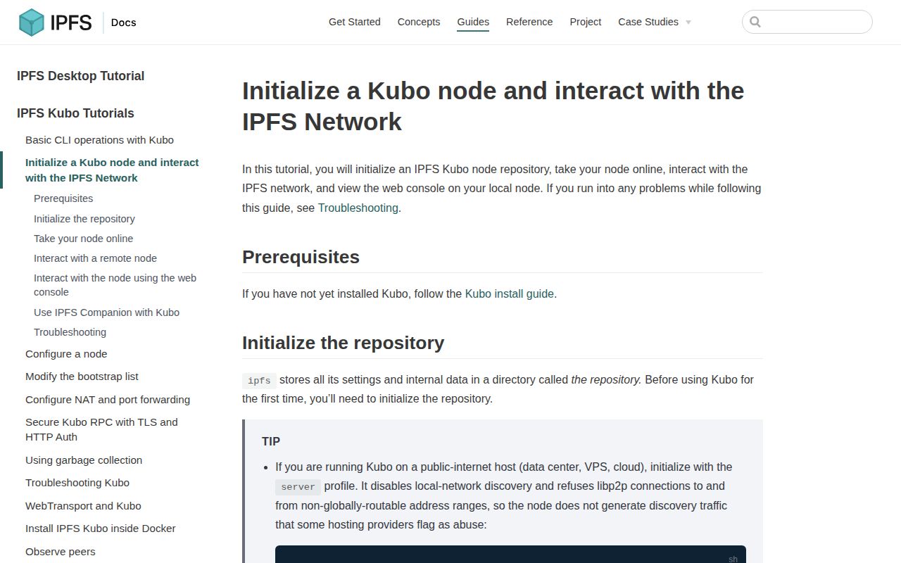 Screenshot of kubo (docs.ipfs.tech/how-to/command-line-quick-start)