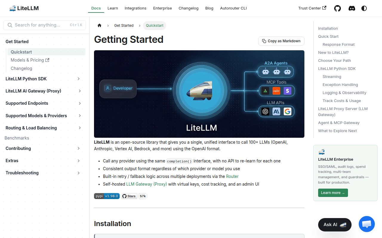 Screenshot of litellm (docs.litellm.ai/docs)