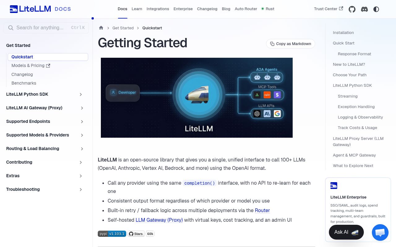 Screenshot of litellm (docs.litellm.ai/docs)