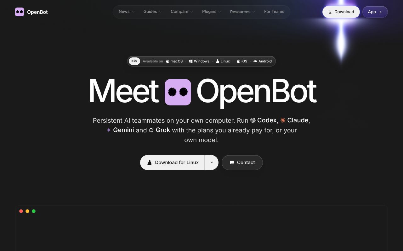 Screenshot of openbot (openbot.run)