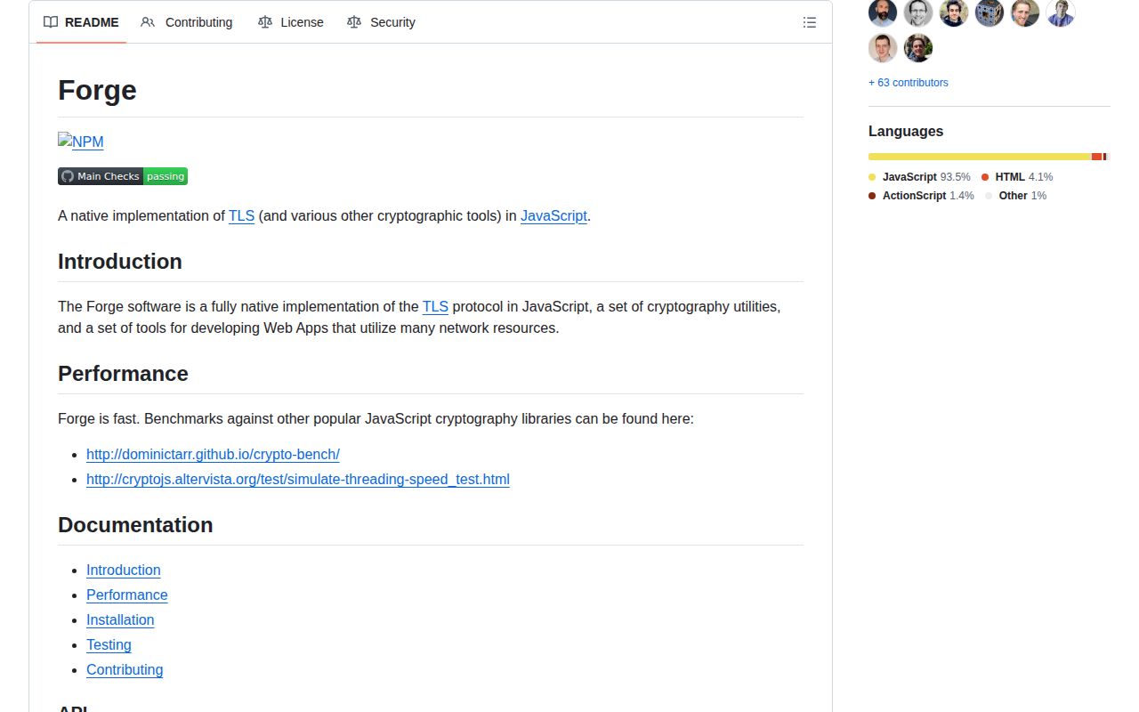Screenshot of node-forge documentation