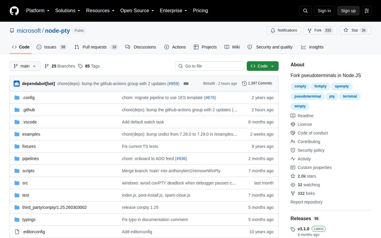 Screenshot of node-pty documentation