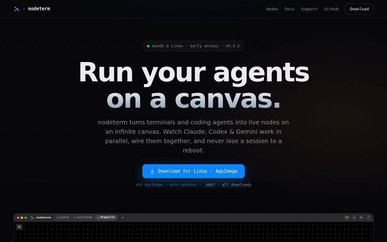 Screenshot of nodeterm (nodeterm.dev)