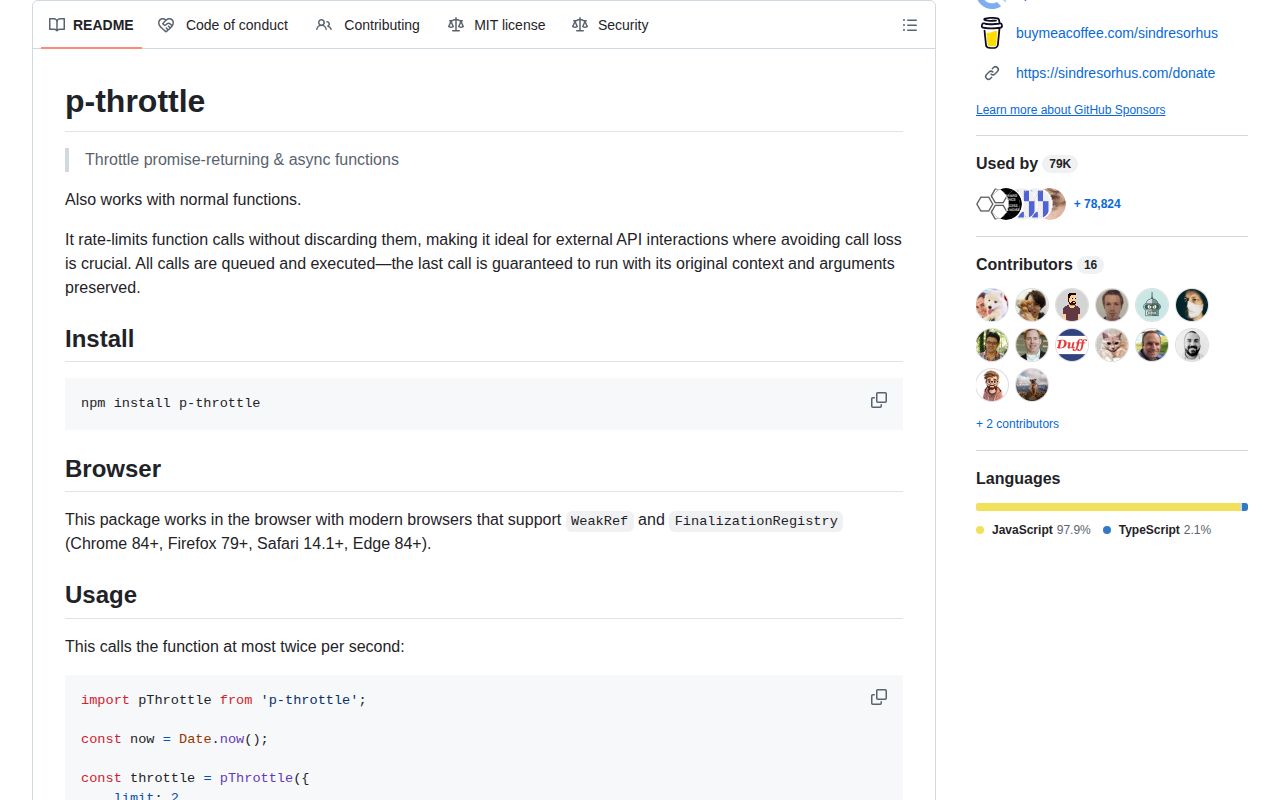 Screenshot of p-throttle documentation