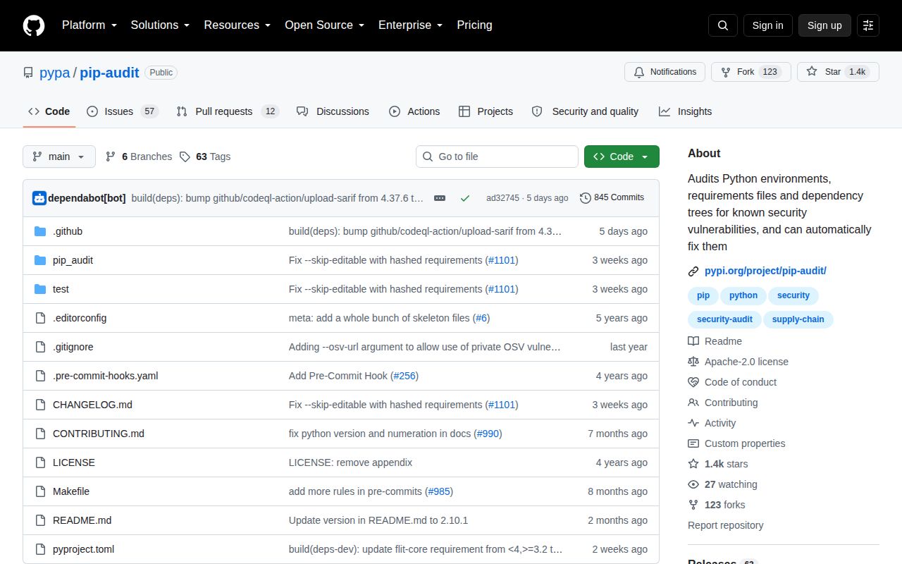 Screenshot of pip-audit documentation