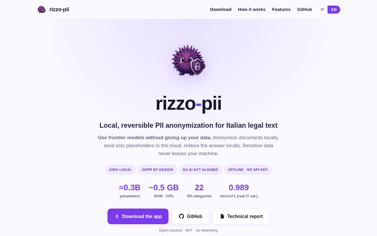 Screenshot of rizzo-pii (rizzo-ai-academy.github.io/rizzo-pii)