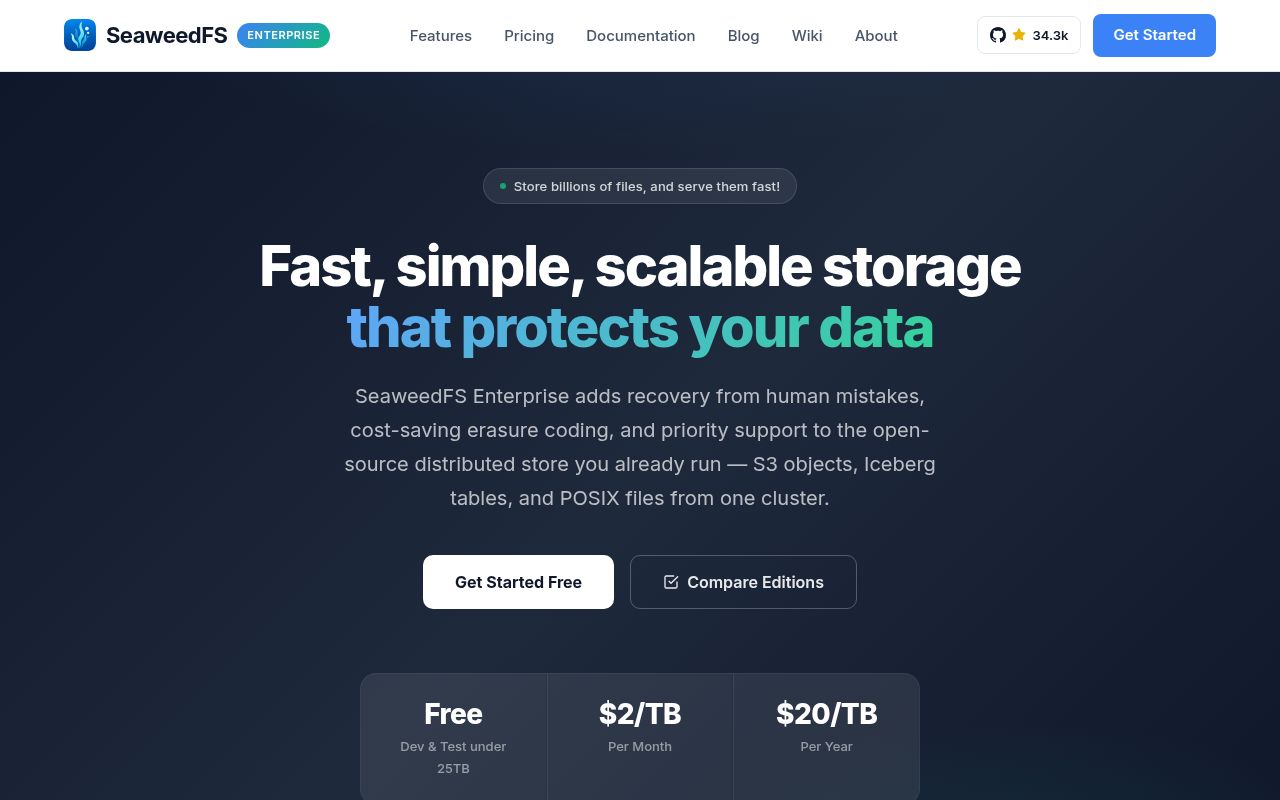 Screenshot of seaweedfs (seaweedfs.com)