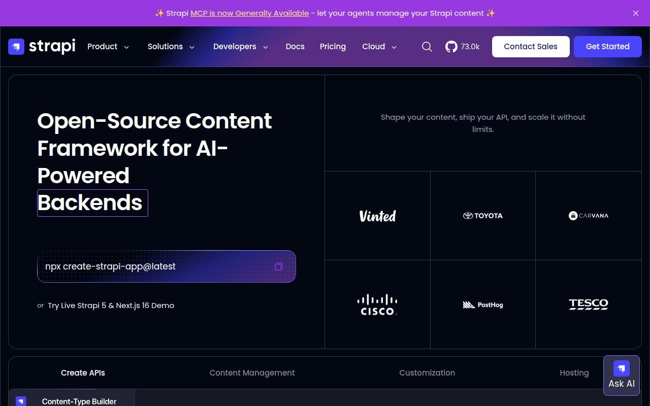 Screenshot of strapi (strapi.io)