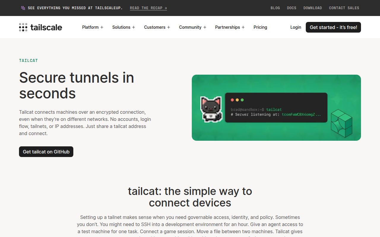 Screenshot of tailcat (tailscale.com/tailcat)