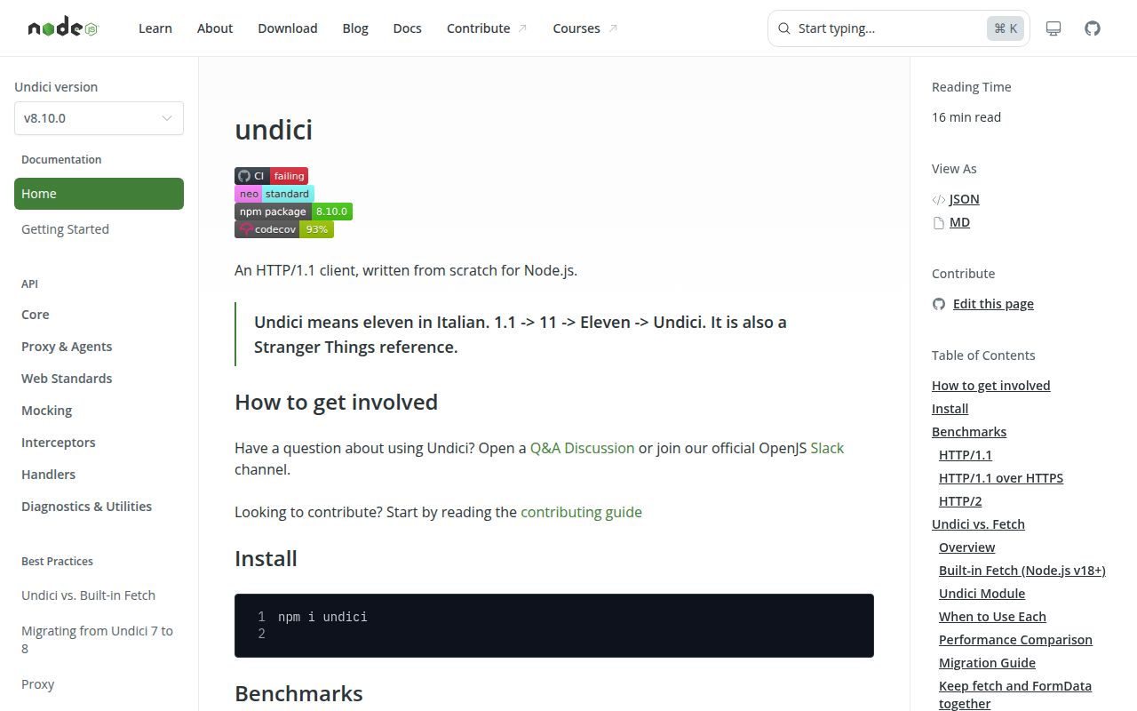 Screenshot of undici documentation