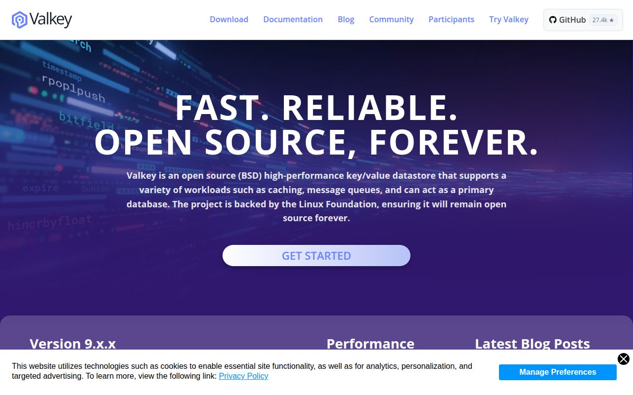 Screenshot of valkey (valkey.io)