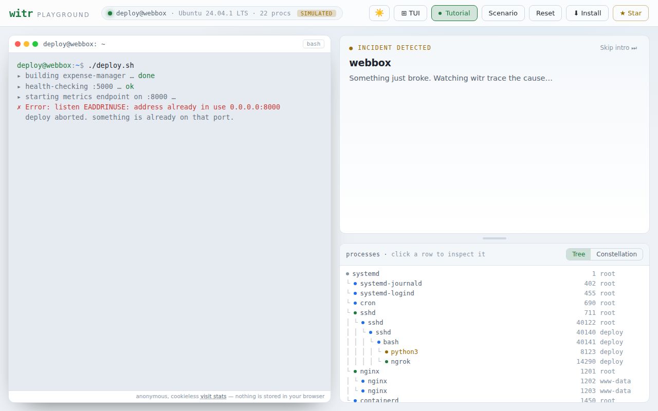 Screenshot of witr (pranshuparmar.github.io/witr)